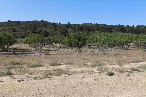 Landejendom i Caudete, Albacete, Caudete - € 165.000 | Ref: SF0576 - foto 29